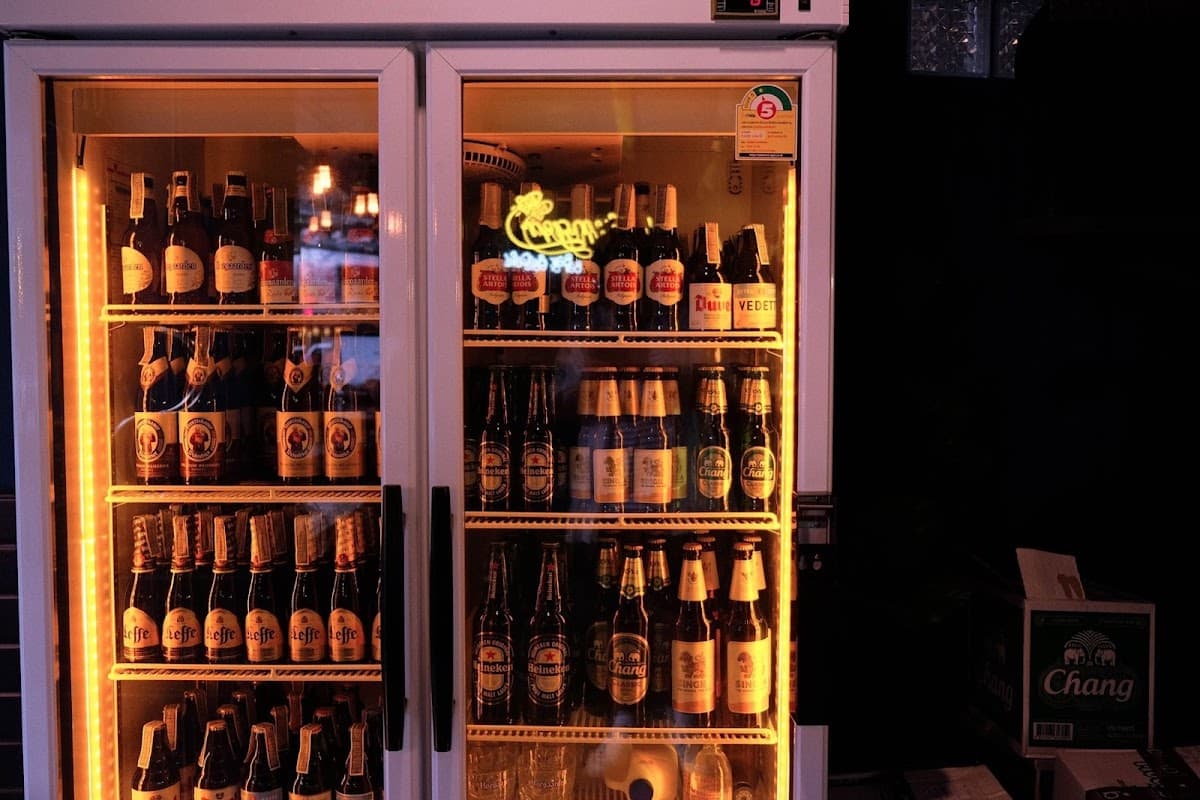 Younger Bar & Café — photo 1
