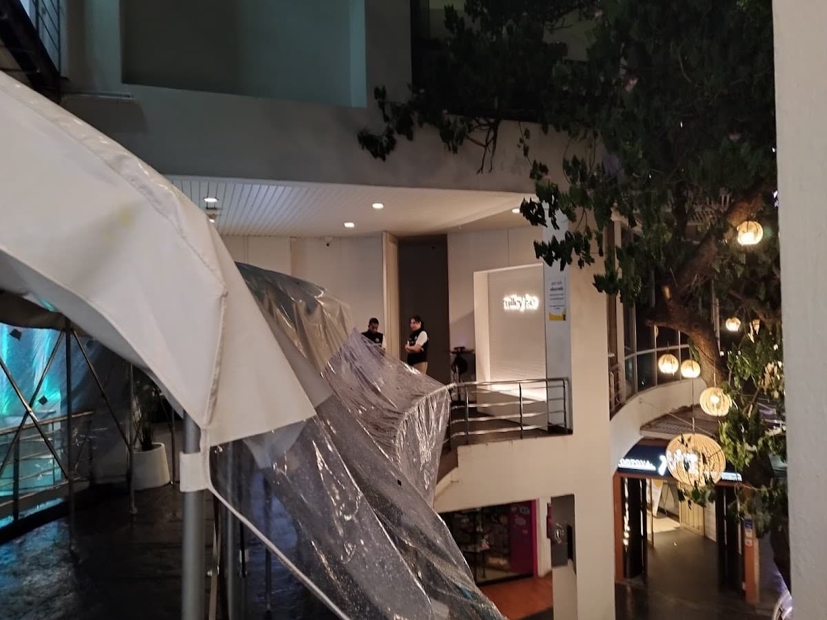 mil social club — photo 1