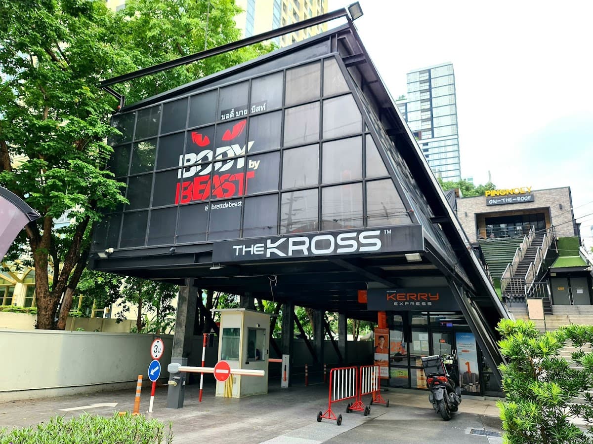 The Kross — photo 1