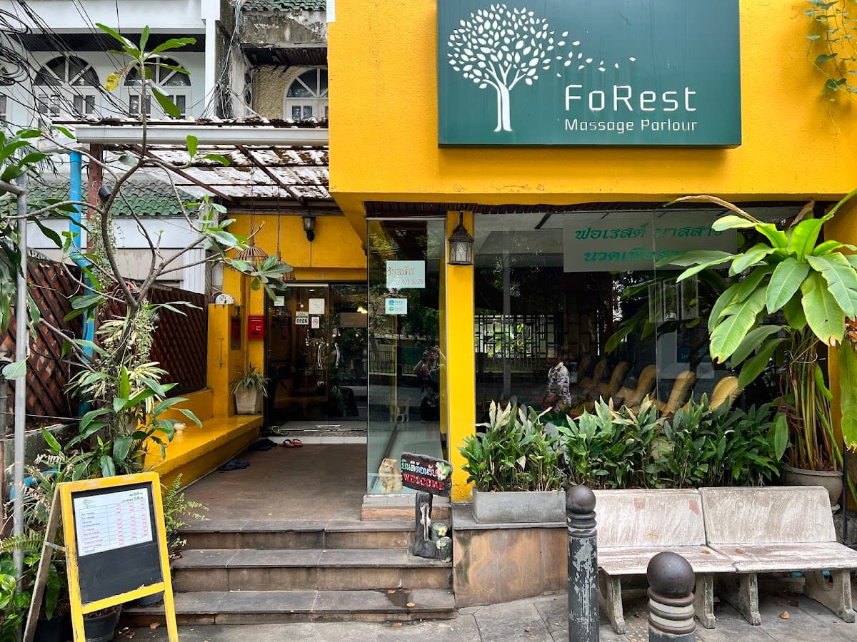 Forest massage parlour — photo 1